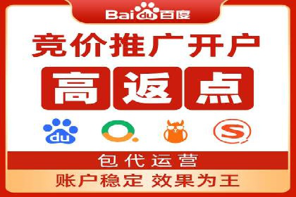 SEM服务公司经典案例集锦